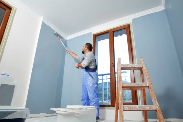 Best Repainting for Renovations  in USA